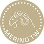 Merino Tenwool
